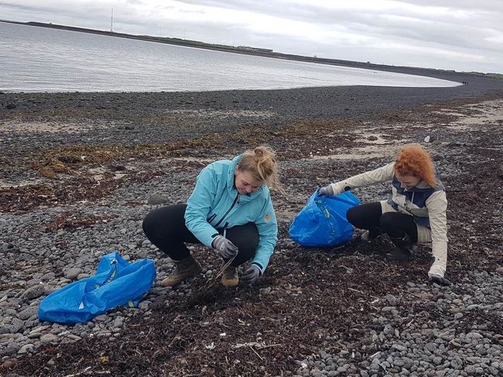 Starfsmenn Umhverfisstofnunar að störfum við að tína rusl.