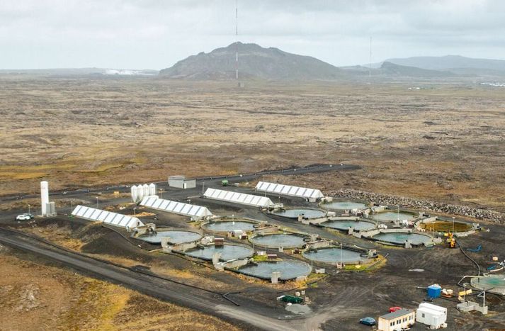 Um 80 tonn af bleikju töpuðust í skjálftunum í nóvember 2023, vatnsflæði í áframeldinu fór úr skorðum og stórir eldistankar skemmdust.