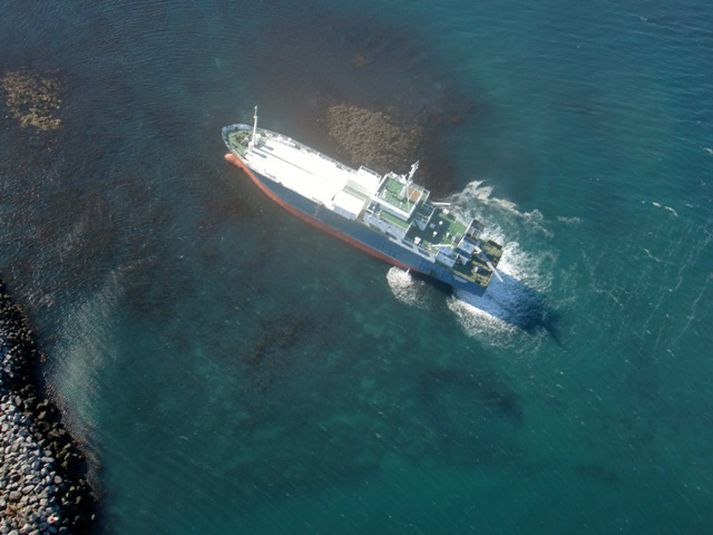 Fernanda á strandstað.