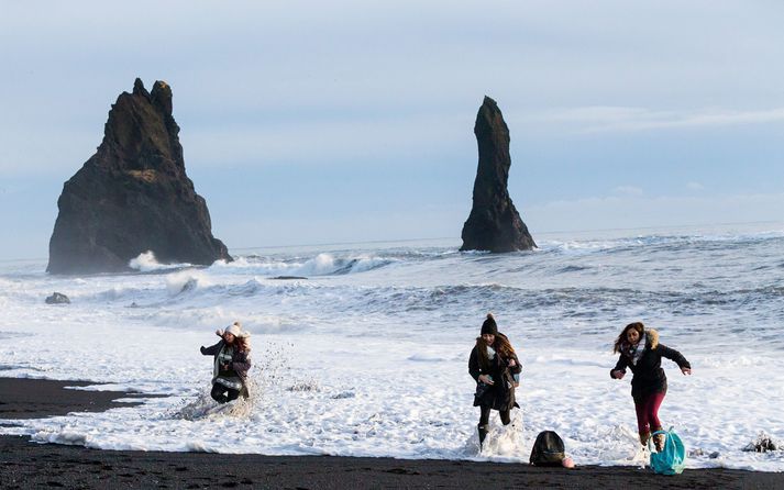 Ferðamenn eru varaðir ítrekað við áður en þeir fara í fjöruna. Það virðist þó ekki duga til. 