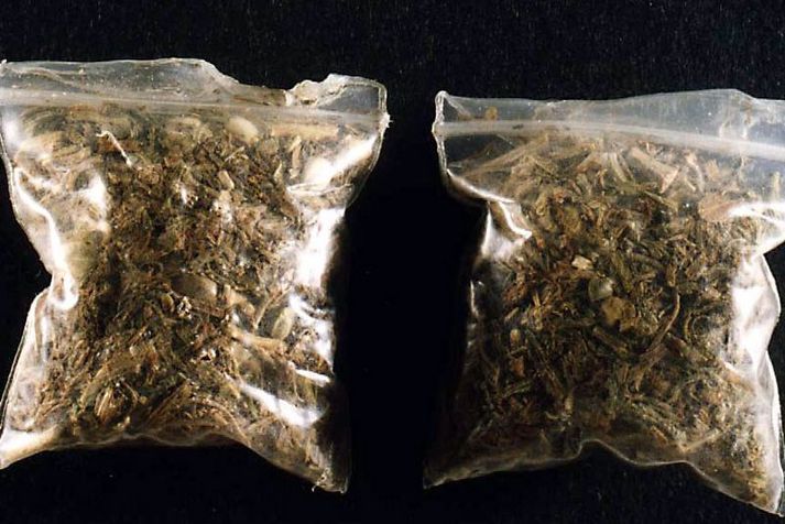 Kannabis