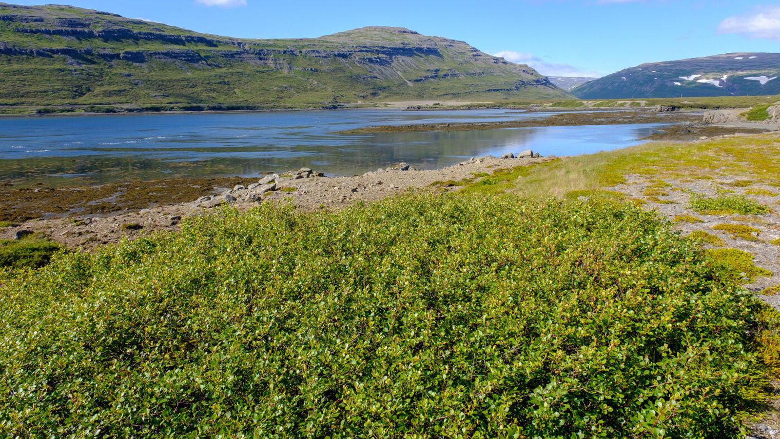 Á­kærður fyrir að eitra fyrir sam­starfs­fé­laga með kanna­bis