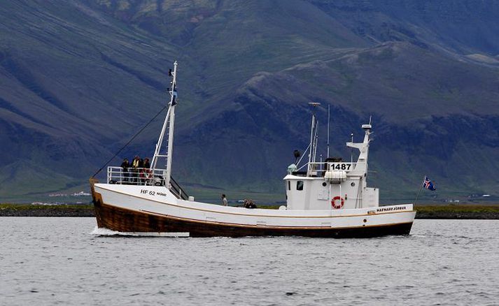 Ekkert bendir til þess að hvalaskoðun eða hrefnveiðar valdi fækkun hrefnu á Faxaflóa, segir sérfræðingur hjá Hafrannsóknarstofnun Íslands.
Fréttablaðið/Anton