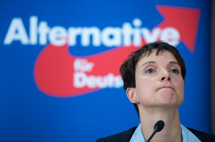 Hægrikonan Frauke Petry tók við leiðtogaembættinu í AfD í júlí síðastliðinn.