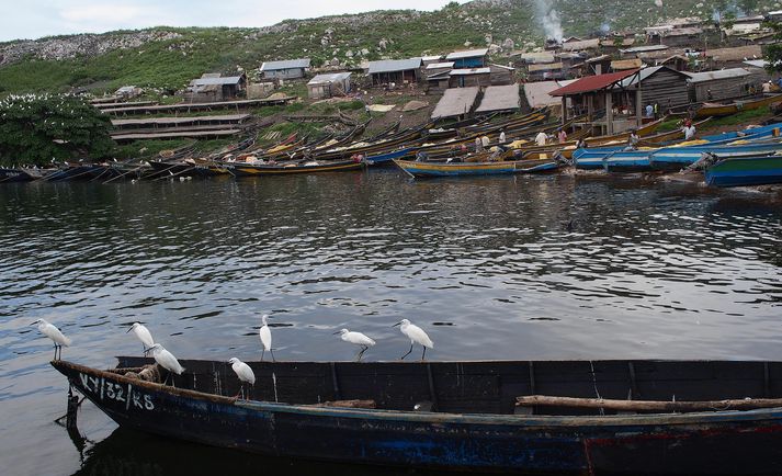 Þróunarsamvinnustofnun hefur unnið sambærilega fiskstjórnunarverkefni í Úganda.