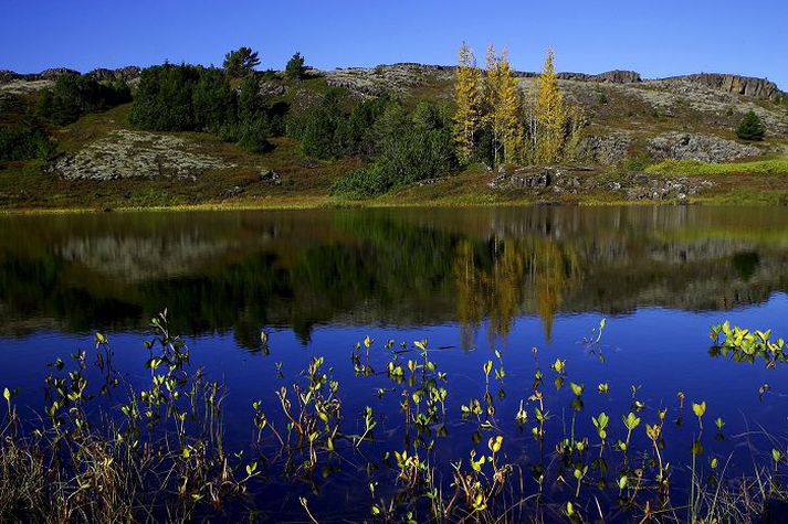 Þingvallavatn.