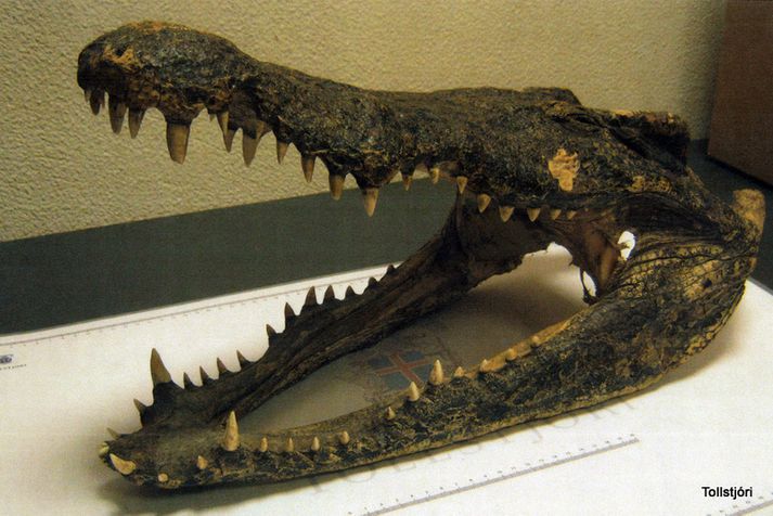 Markmið CITES  samningsins er að vernda tegundir dýra og plantna sem eru í útrýmingarhættu.