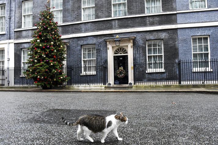 Johnson og starfsfólk Downing-strætis tíu hefur í nógu að snúast þessa dagana. Kötturinn Larry, sem sér um meindýravarnir forsætisráðherraembættisins, kemur þó ekki nærri Brexit-viðræðunum.