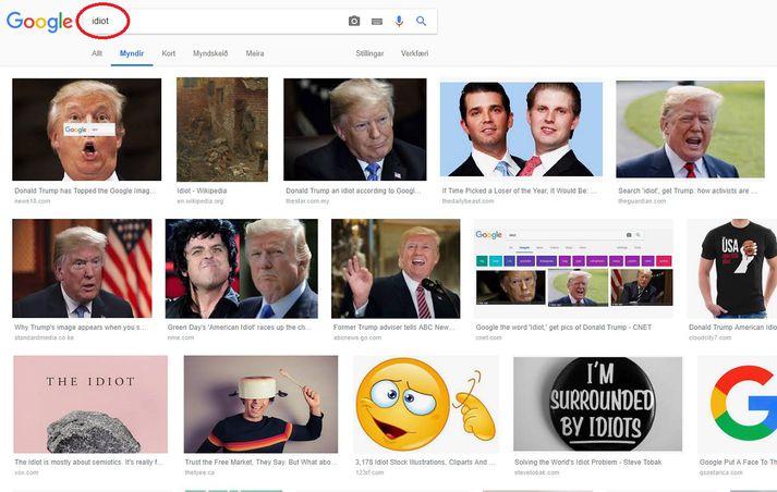 Svona raðar Google upp leitarniðurstöðum sé leitað að enska orðinu idiot í myndaleit Google.