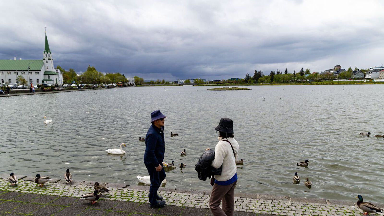 Víða rigning með köflum og slydda eða snjó­koma til fjalla austan­lands