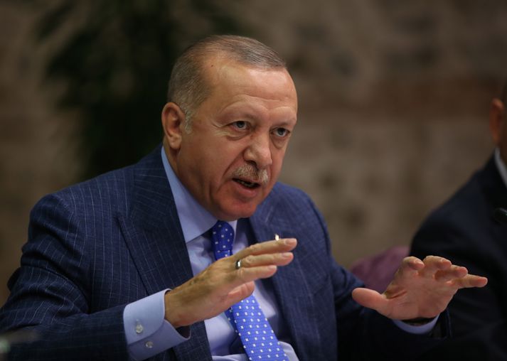 Recep Erdogan, forseti Tyrklands, er móðgunargjarn maður. Undir stjórn hans var sænskur blaðamaður hnepptur í fangelsi og ákærður.