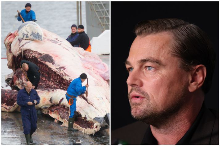 Leonardo DiCaprio er þekktur umhverfisverndarsinni. Hann hefur meðal annars verið ötull málsvari gegn loftslagsbreytingum af völdum manna.