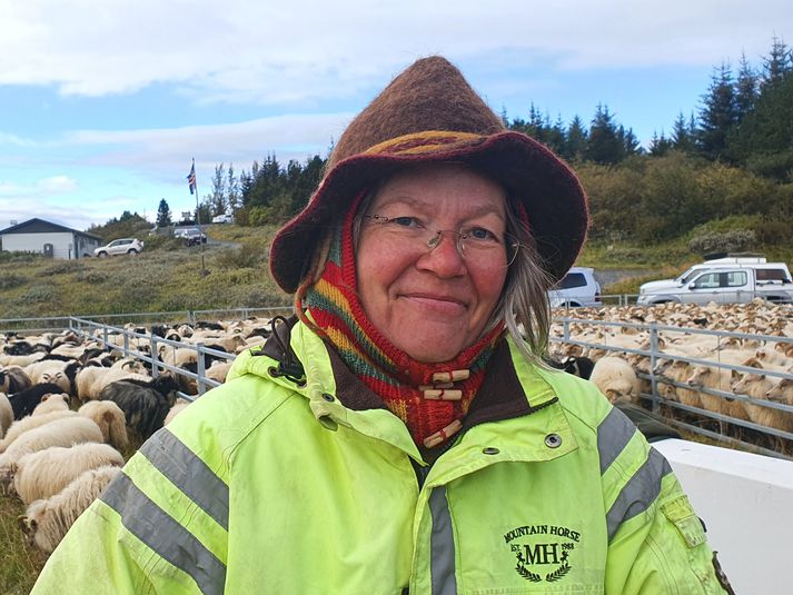 Sigríður Jónsdóttir, sauðfjárbóndi á bænum Arnarholti í Biskupstungum í Bláskógabyggð, sem segir að íslenskur landbúnaður sé á hraðri niðurleið.