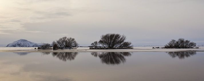 Við Mývatn