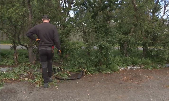 Framkvæmdastjóri N1 segir að sér þyki miður að ekki hafi verið brugðist fyrr við á lóð fyrirtækisins í vesturbæ Reykjavíkur. 
