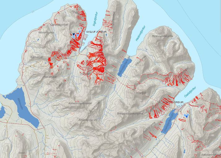 Svæðið sem um ræðir. Rauðu línurnar tákna snjóflóð sem fallið hafa að undanförnu