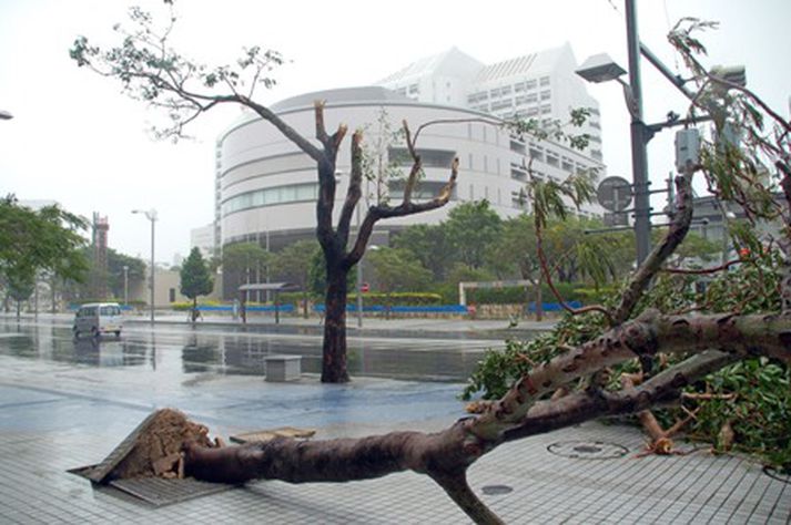 Fellibylurinn olli töluverðu tjóni í borginni Naha í suðurhluta Okinawa.