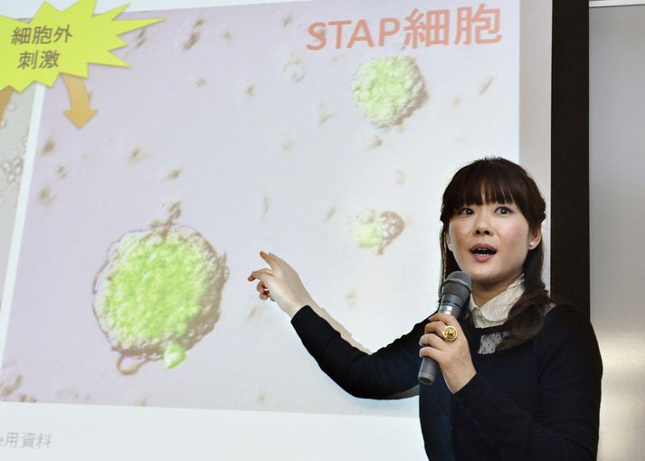 Haruko Obokata kynnti niðurstöður sínar í lok janúar.