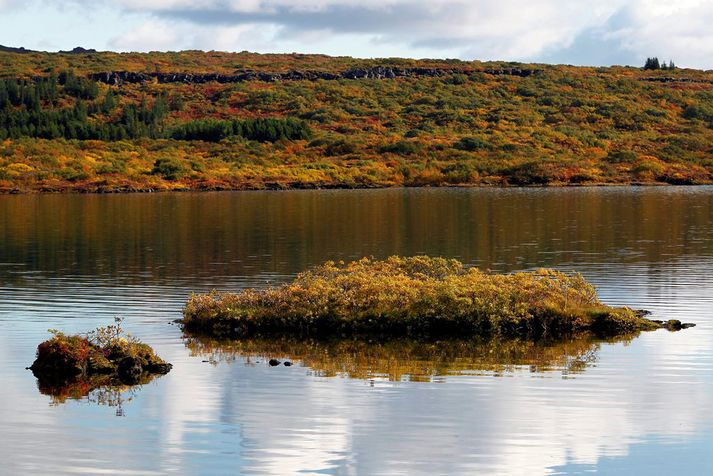 Þingvellir