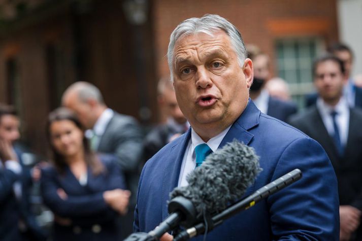 Viktor Orban og félagar hans í Fidesz-flokknum mega ekkert hýrt sjá.
