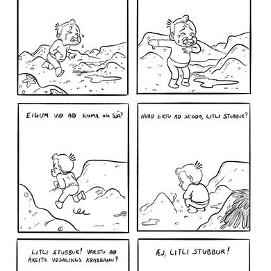 Fréttamynd