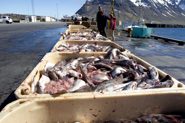 Samtök fyrirtækja í sjávarútvegi eru ekki beint hrifin af hækkun veiðigjalds á komandi fiskveiðiári. 