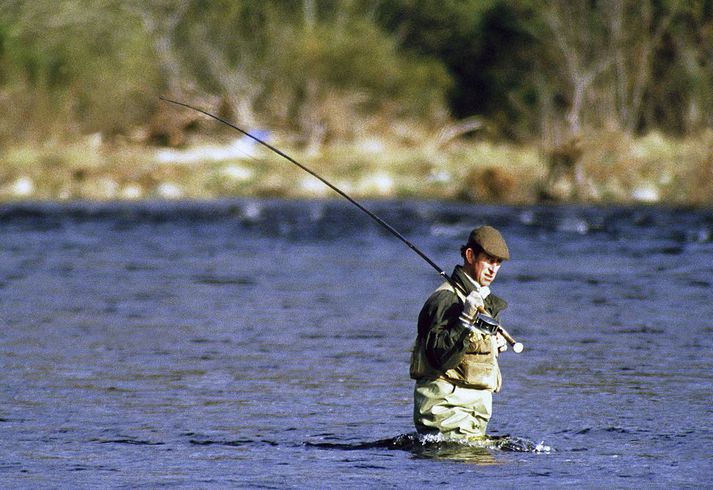 Hér má sjá Karl III Bretakonung við veiðar í Ballater nærri Balmoral-höll í Skotlandi. Hann lagði leið sína til Íslands nokkrum sinnum á árum áður til að veiða hér lax.