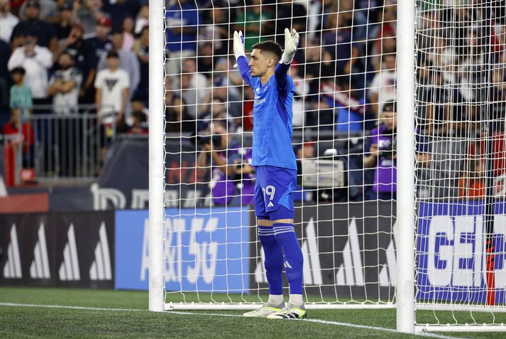 Djordje Petrovic er talinn líklegt skotmark Chelsea áður en félagsskiptaglugginn lokar.