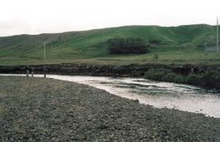 Fréttamynd