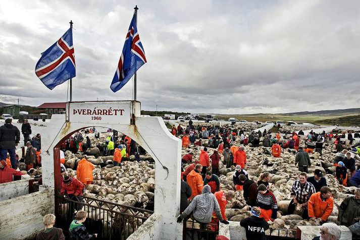 Hagstofan er í nýrri grein í Vísbendingu sögð hafa unnið gott starf á sviði landbúnaðartölfræði. Enn sé þó mikið verk óunnið. 
