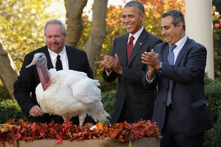 Barack Obama lék á als oddi þegar hann náðaði kalkúnana.