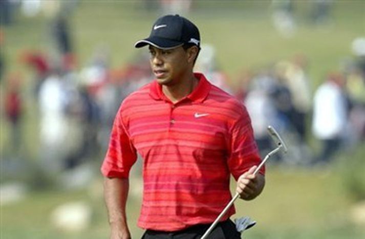 Tiger getur kannski slegið nokkur högg í Svíþjóð. Mynd/ AFP.