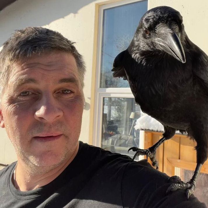 Jóhann Helgi og Dimma eru miklir vinir.