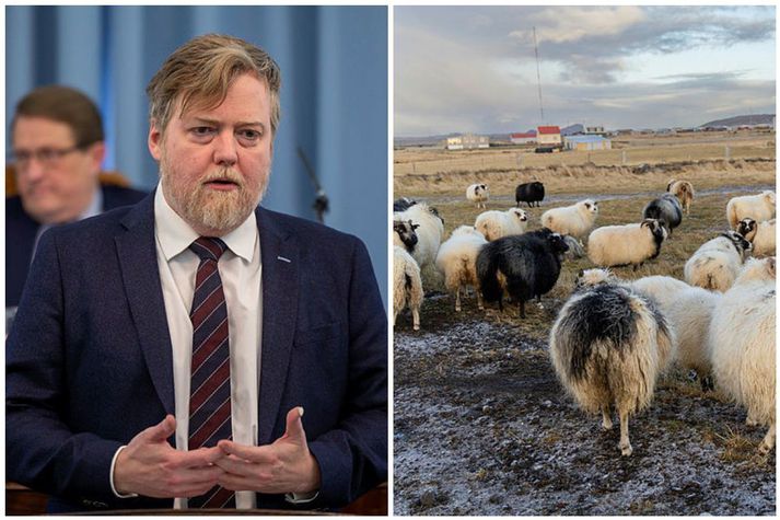 Sigmundur segir íslenskan landbúnað berjast í bökkum, og sótt sé að honum úr öllum áttum.