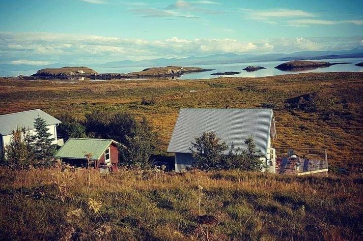 Hafi lesendur drauma um að gerast æðardúnsbændur gefst nú tækifæri til þess.