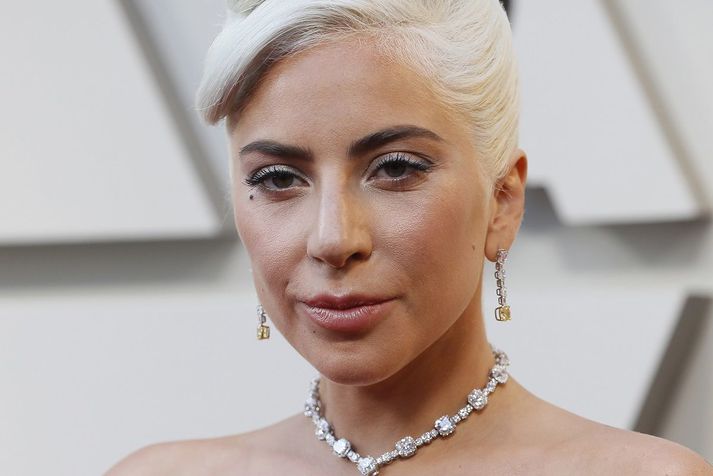 Lady Gaga bauð hálfrar milljón dala fundarlaun fyrir hundana og konan sem skilaði hundunum og sagðist hafa fundið þá er meðal þeirra fimm sem voru handtekin.