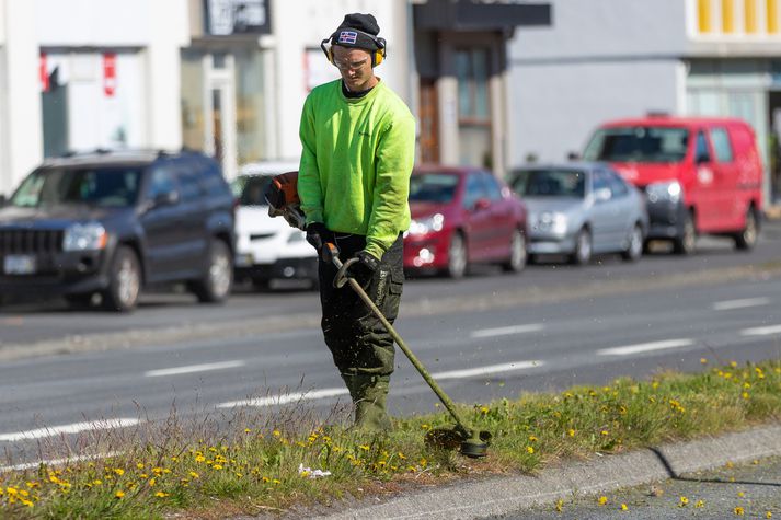 Svæði, einkum nær umferðaræðum, verða valin til að vera svokölluð villt svæði.