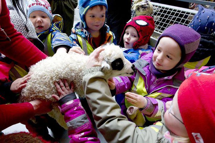 Lambs are always popular among the young ones.