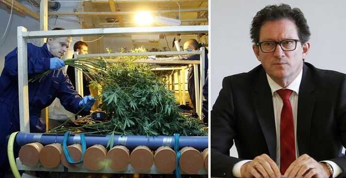 Heilbrigðisráðherra hefur svarað fyrirspurn um heimild lækna til að ávísa á kannabis.