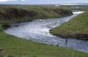Fréttamynd