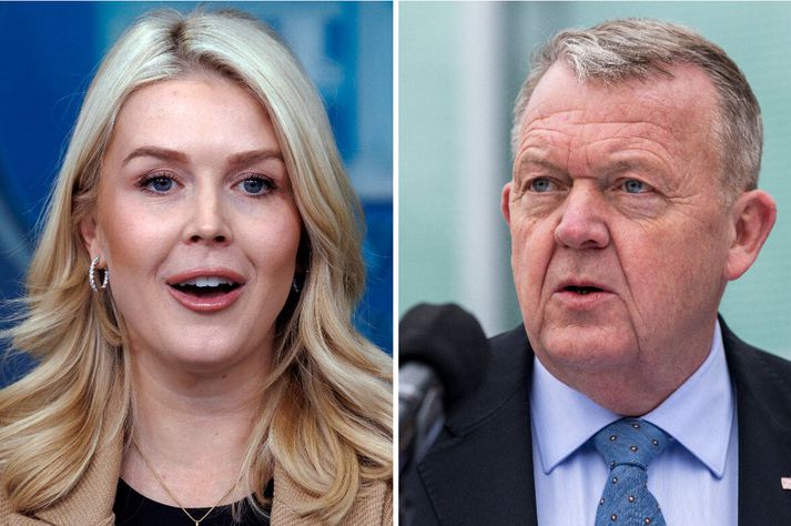 Karoline Leavitt og Lars Løkke Rasmussen virðast alls ekki sammála um það hvert hlutverk starfshópsins verður sem ákveðið var að setja á fót eftir fundinn í Washington í vikunni.