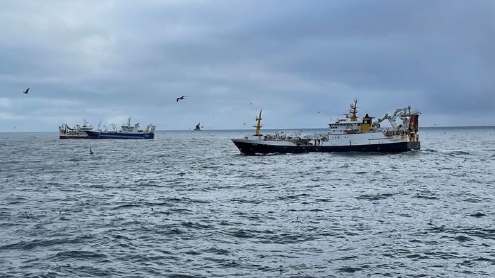 Ef loðnukvóti óbreyttur í 139 þúsund tonnum má gera ráð fyrir að stærri hluti aflans verði unnin til manneldis.