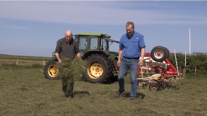 Steingrímur kominn í töðuilminn í heyskapnum á Gunnarsstöðum eftir að hafa stýrt sínum síðasta þingfundi.