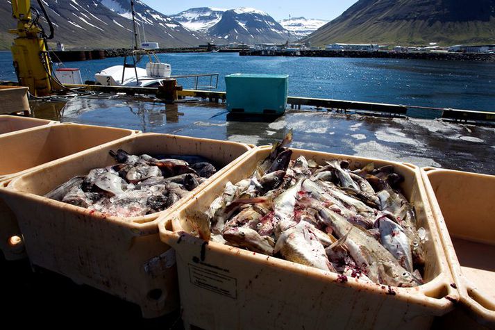 Flatfiskafli jókst um rúm 1.500 tonn, og er það mest vegna aukins grálúðuafla, en hann meira en tvöfaldaðist frá júlí 2014. 