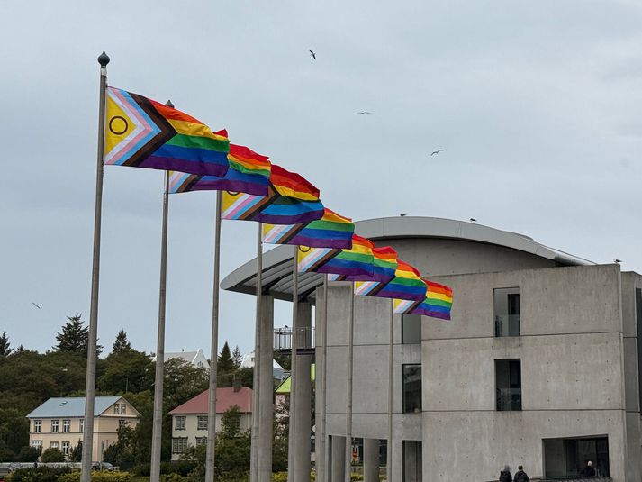 Nefndin telur að betur sé hægt að skrá mögulega mál er varða hatursglæpi og hatursorðræðu á grundvelli kynþáttar og gagnvart hinsegin fólki.