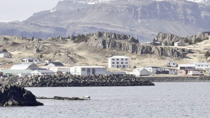 Eftir tuttugu mínútur komst hreindýrið á þurrt land á ný.