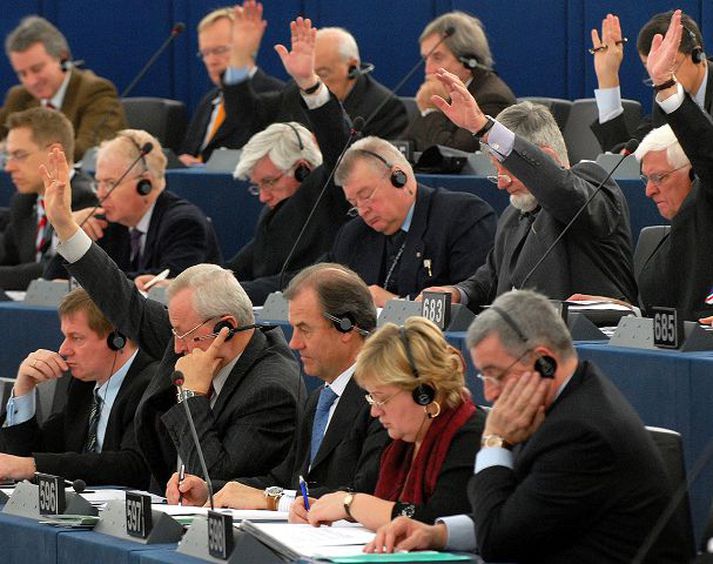 Meirihluti þingmanna Evrópuþingsins taldi skýrsluna nægilega vel rökstudda.