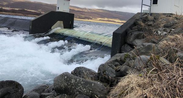 Sala á upprunaábyrgðum veldur ágreiningi