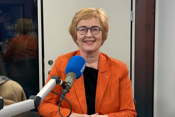 Hvað á að gera á stórafmæli Alþingis?