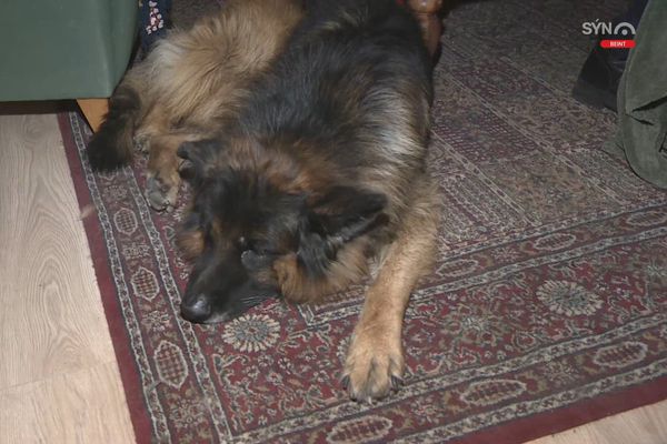 Dagar Úffa mögulega taldir